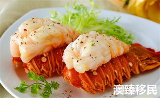 移民澳洲悉尼,六大意想不到的生活亮點(diǎn)